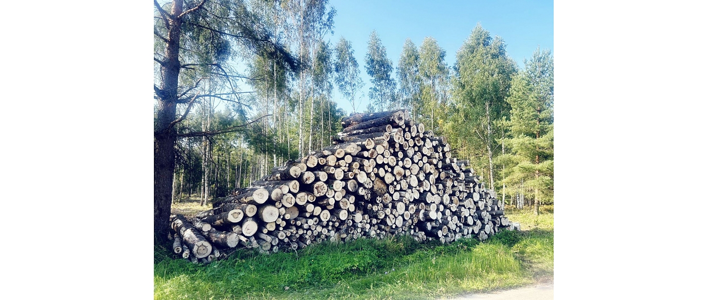 Harvester services Forwarder services